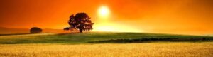 cropped-cropped-summer-1-1.jpg