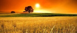 cropped-summer-1.jpg